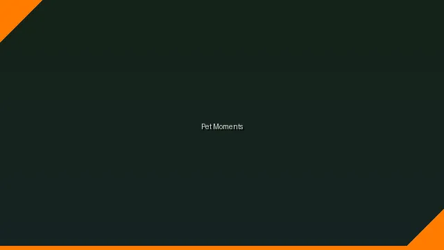 萌宠时刻主题赛 - MK体育网址 UGC视频竞赛